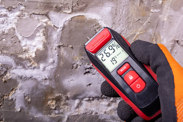Best Kitchen Mold Remediation in Paramount, CA
