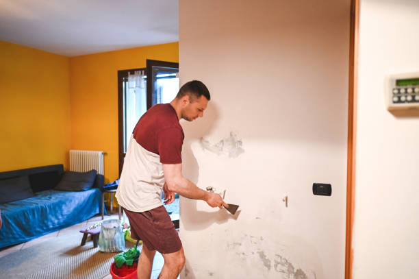 Best Residential Mold Remediation in Paramount, CA